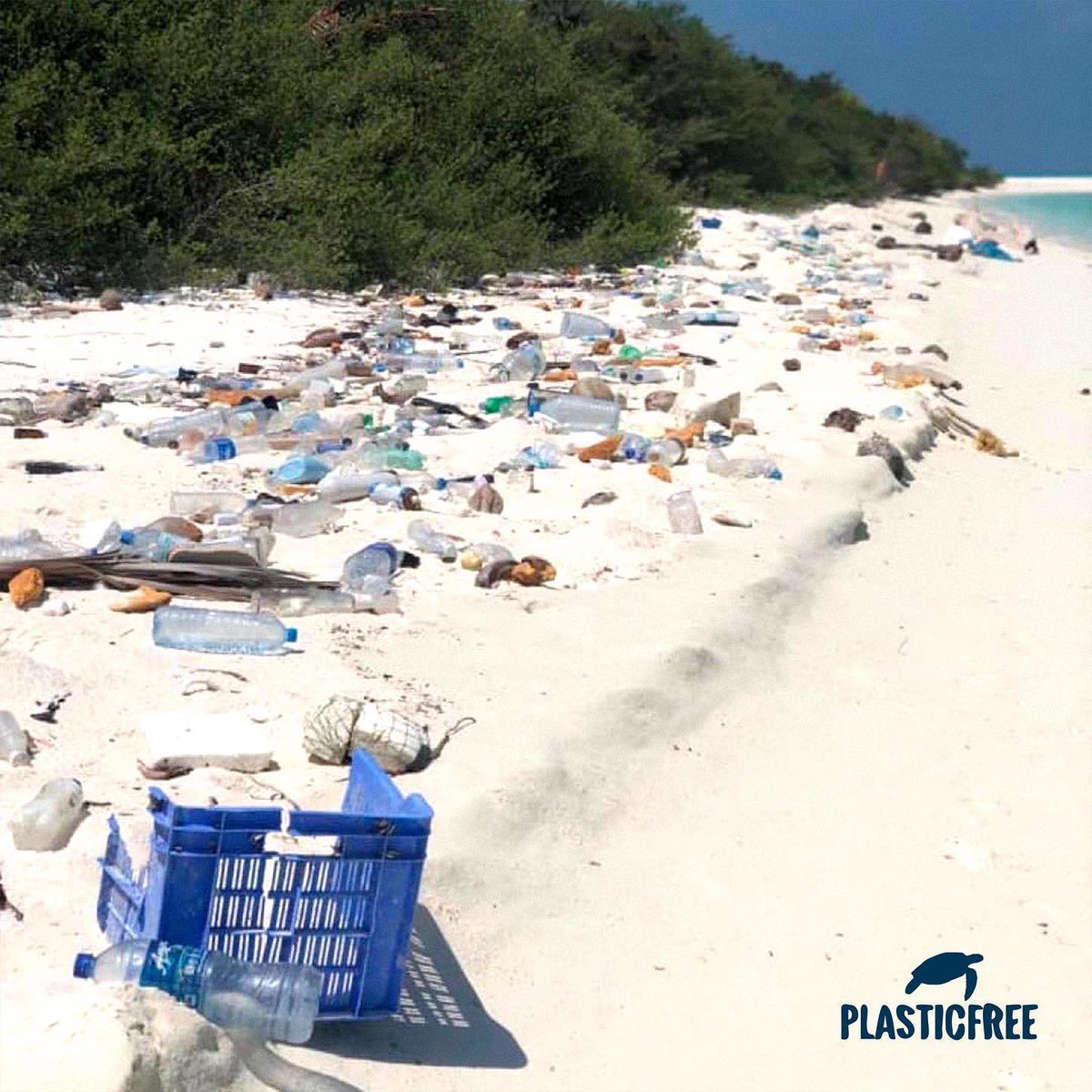 So heartbreaking 💔

#plasticfree #plasticpollution