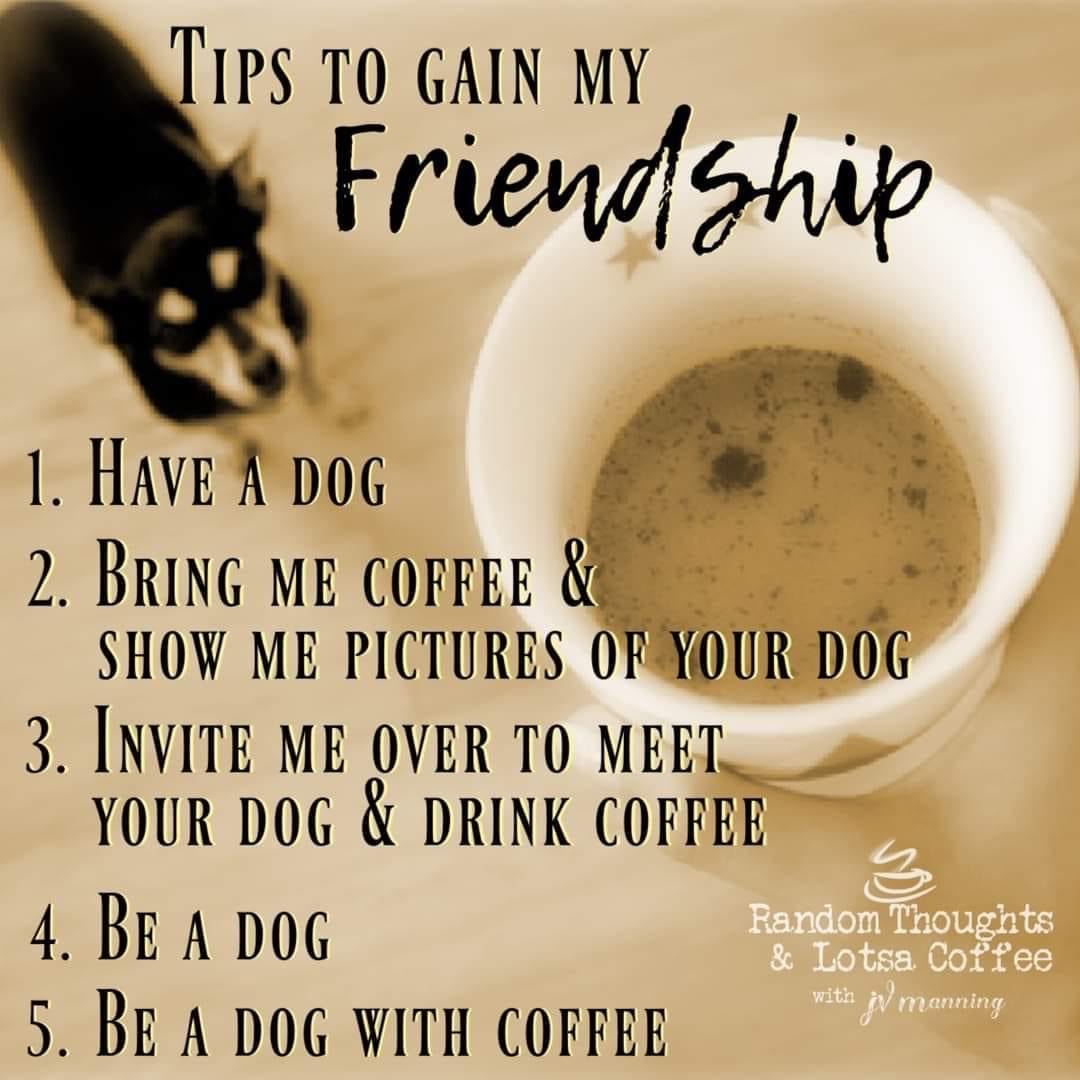 ryancduff's tweet image. Good morning 😊