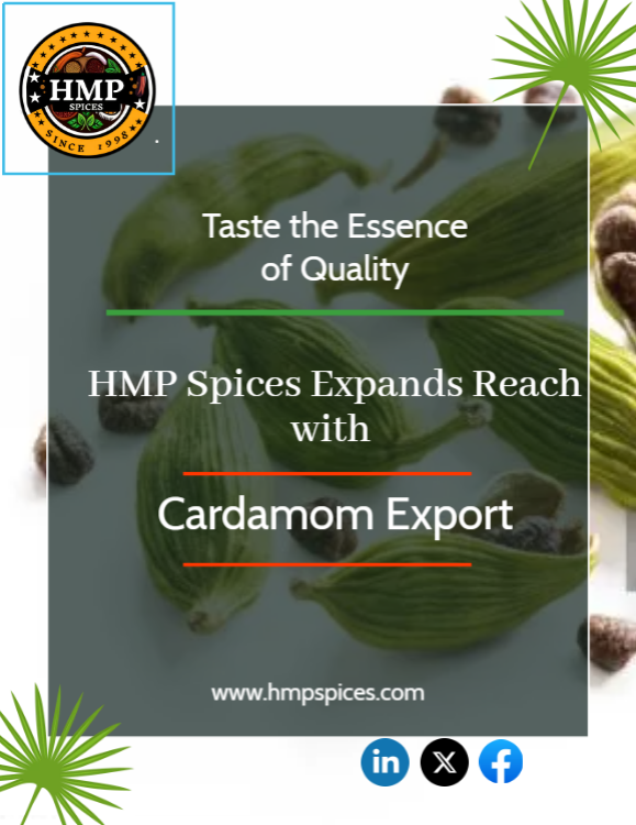 HMP Spices is now exporting our premium cardamom spice worldwide!
hmpspices.com
#KeralaSpices #CardamomExport #KeralaCardamom #SpiceExporters #IndianSpices #CardamomTrade #KeralaExports
#KeralaBusiness #CardamomIndustry #ExportFromKerala
#KeralaAgriculture #SpiceTrade