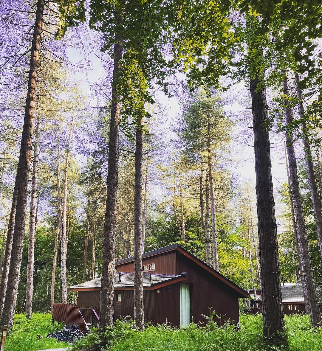 It's amazing what a few days in nature can do 🌿 Do you have a visit planned soon? 📍 Delamere Forest, Cheshire 📸 sjwilson81 #forestfeeling #cabininthewoods #traveltuesday