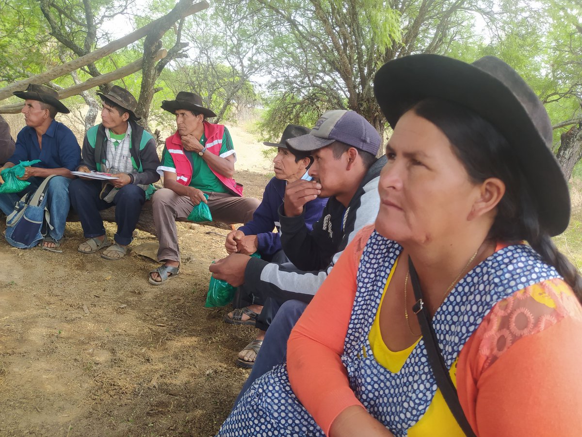 Escuelas de campo para el aprendizaje hortícola en Sopachuy. #FSUMontilla #CooperaciónInternacional #HuertosEscolares #NNA #AlimentaciónSaludable fundacionsocialuniversal.org/escuelas-de-ca…