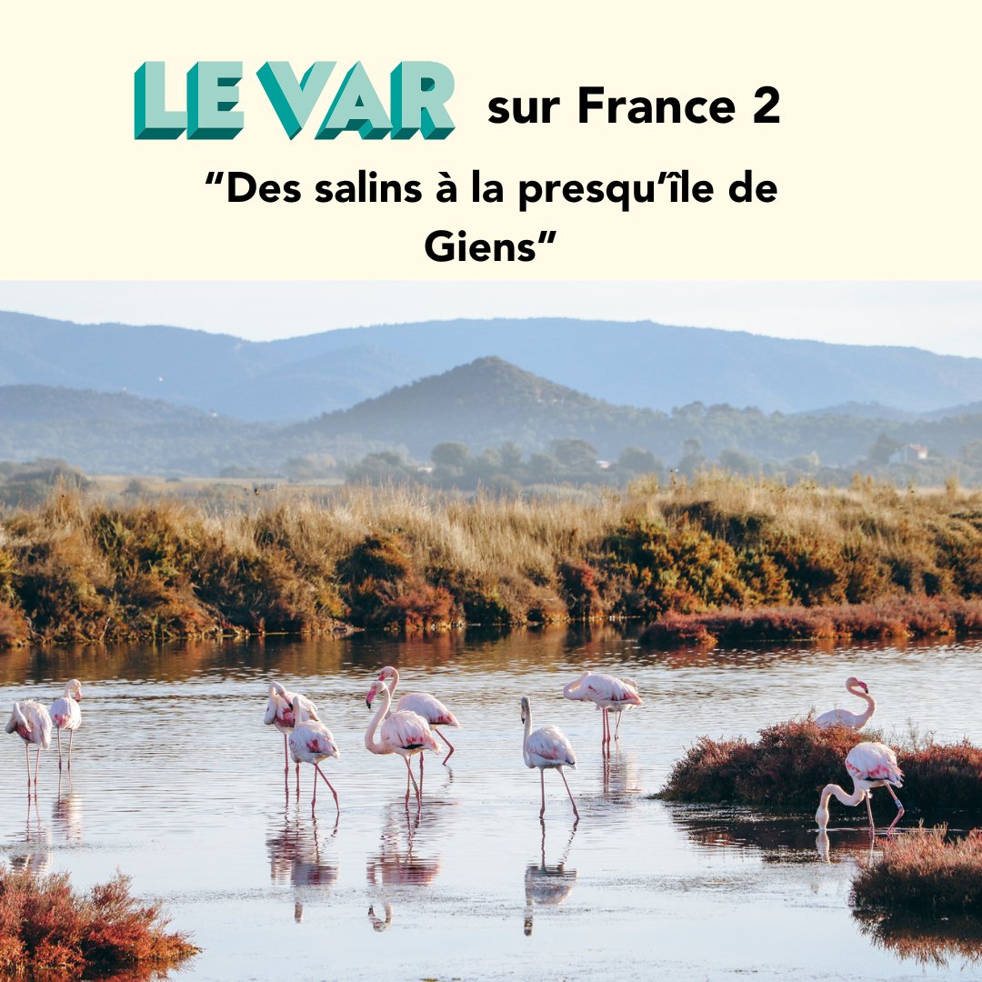 #VUALATELE 🎦 #LeVar dans @telematin sur #France2 ➡️ Reportage de 4 min. après accueil #presse entre @VarTourisme et @metropoleTPM en mars 📺 Belle retombée sur route du sel, double tombolo et autres atouts de @villedhyeres 🌴 ➕d'infos ici : urlz.fr/qAqK