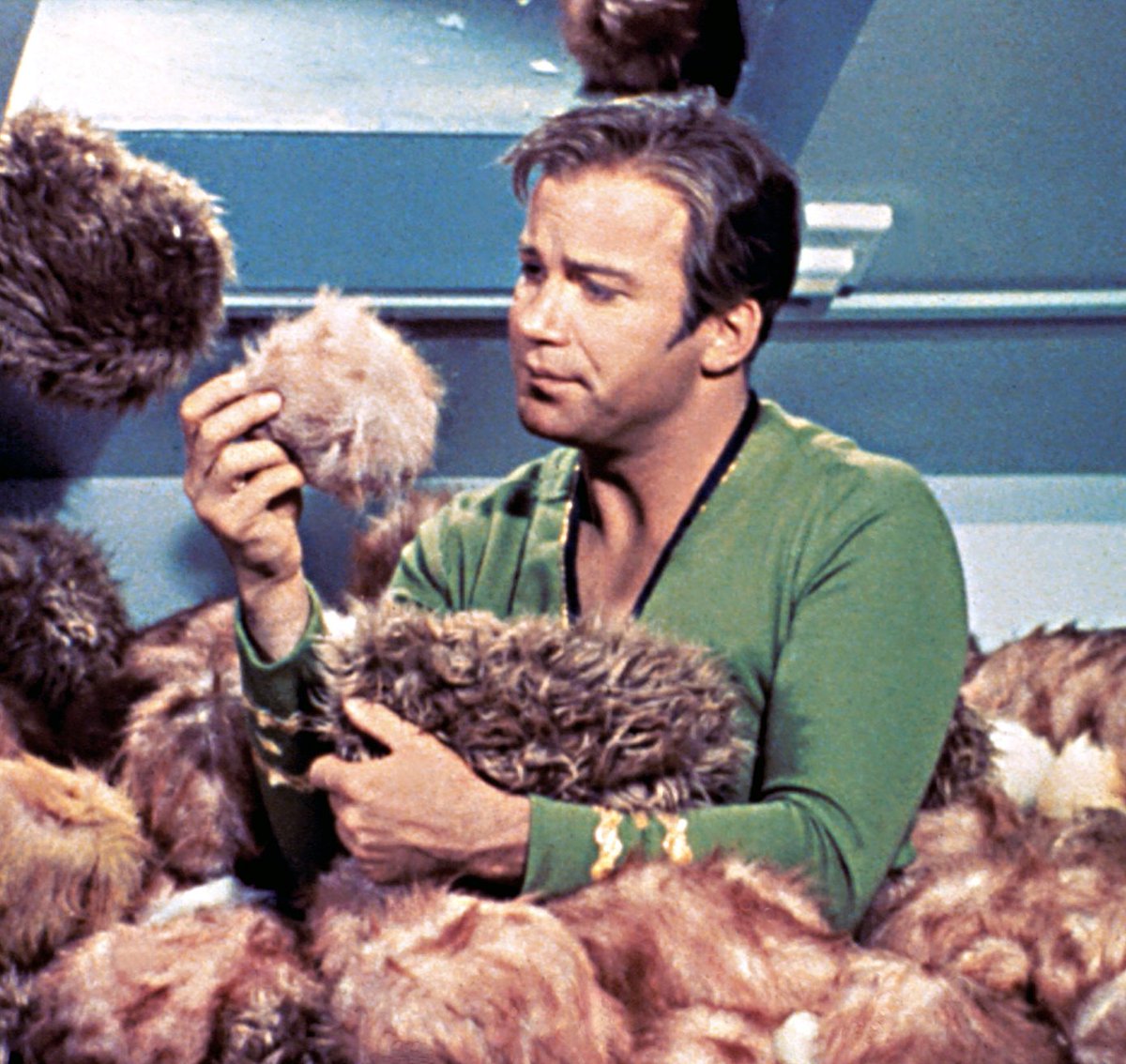 In this comic episode, the starship Enterprise visits a space station that soon becomes overwhelmed by rapidly-reproducing small furry creatures called 'tribbles.' William Shatner Captain James T. Kirk Star Trek