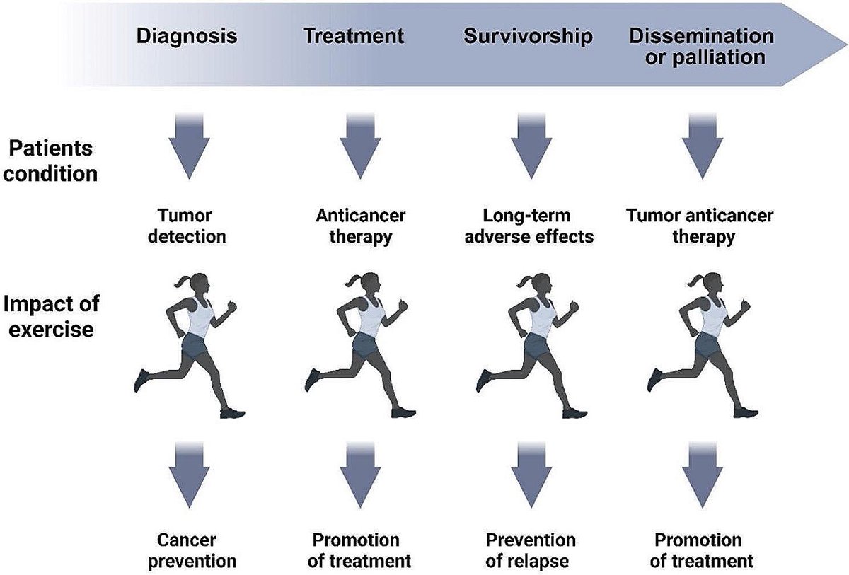 Outcomes of physical exercises on initiation, progression, and treatment of breast cancer… biosignaling.biomedcentral.com/articles/10.11…