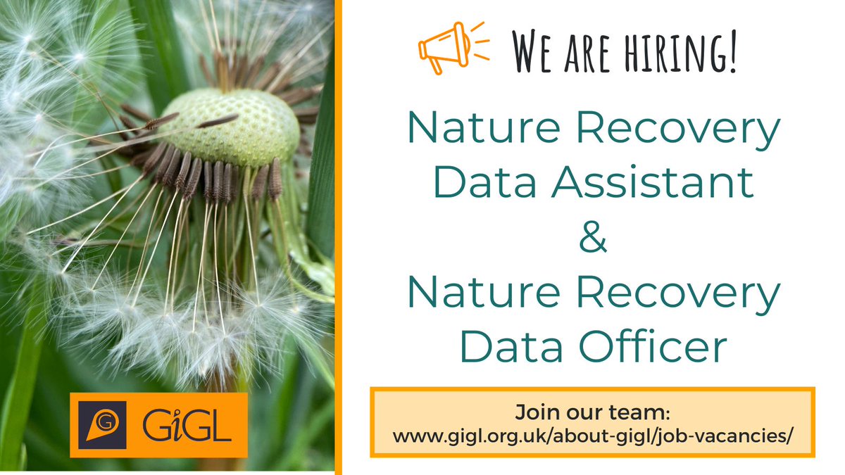 We have two exciting new opportunities to join our friendly and committed team!🌿 If you're interested in being GiGL's new Nature Recovery Data Officer or Data Assistant, then find out more and apply by 19th May 🗓️ 👉 buff.ly/4do0iuF