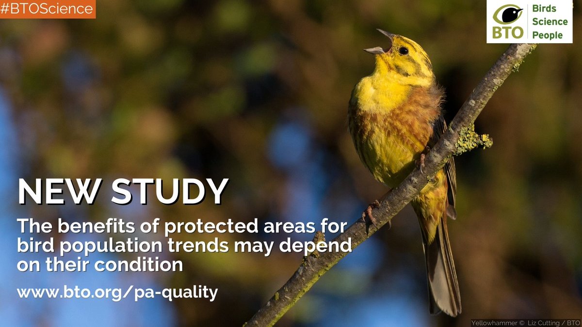 1/ New #BTOScience shows the quality of protected areas matters if we want to boost biodiversity and protect bird populations.🐦 Discover the findings⬇️ or read the study➡️bto.org/pa-quality