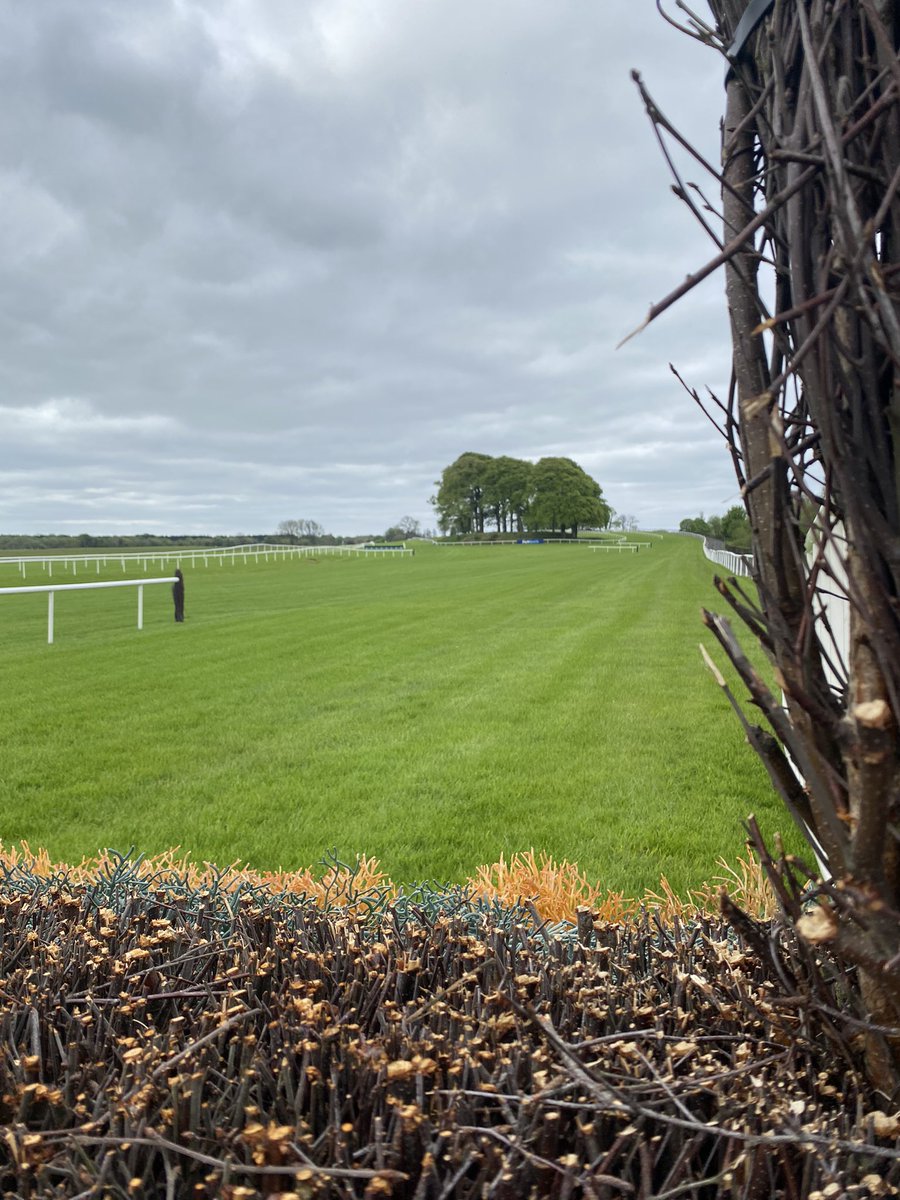 Racing today - Tuesday 7th May 🌱 Going: Yielding Dry today with some sunshine forecast 1️⃣st Race - 4:45pm 8️⃣ race National Hunt Card Get your tickets ▶️ bit.ly/3mylJ6E #imgoingracingareyou