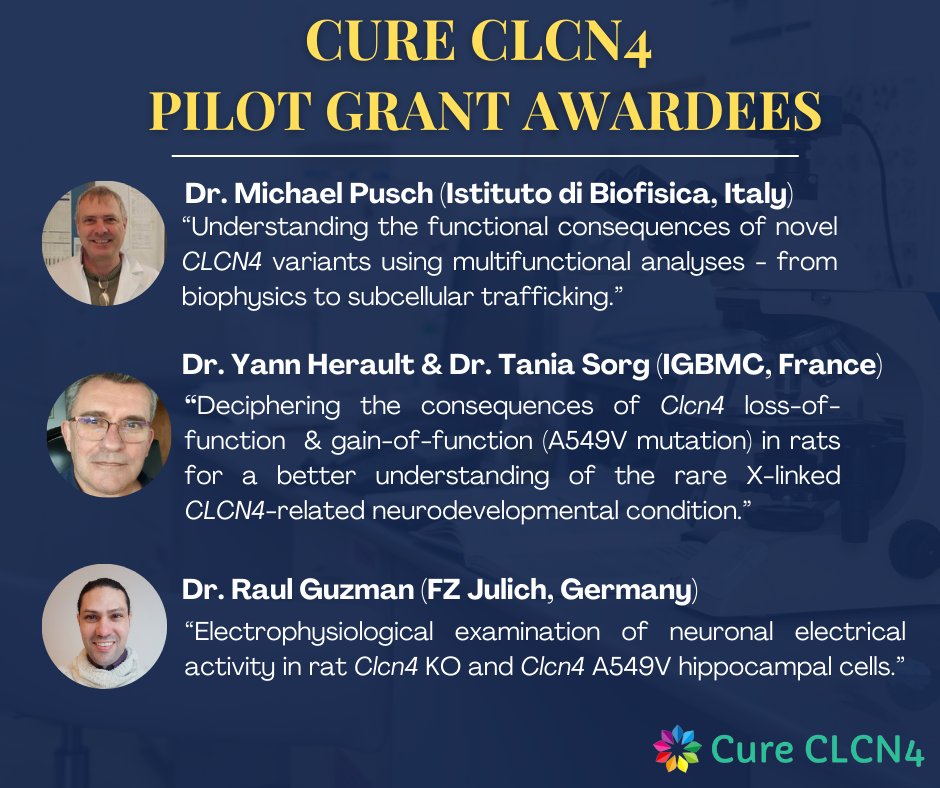 🎉 Exciting news! Congratulations to Dr. Yann Herault & Dr. Tania Sorg, Dr. Michael Pusch, & Dr. Raul Guzman, recipients of the Cure CLCN4 Pilot Grant! Learn more about their projects on CLCN4-related condition: cureclcn4.org/grant-awardees…. Thanks to all who applied! 🙏 #cureclcn4