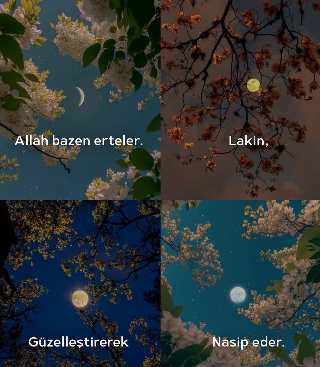 Allah'a güven.