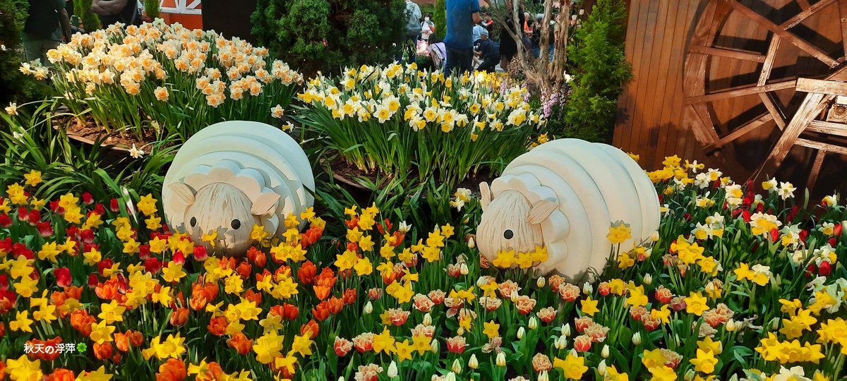 #gardensbythebay
#flowerdome
#singapore
#tulipmania2024