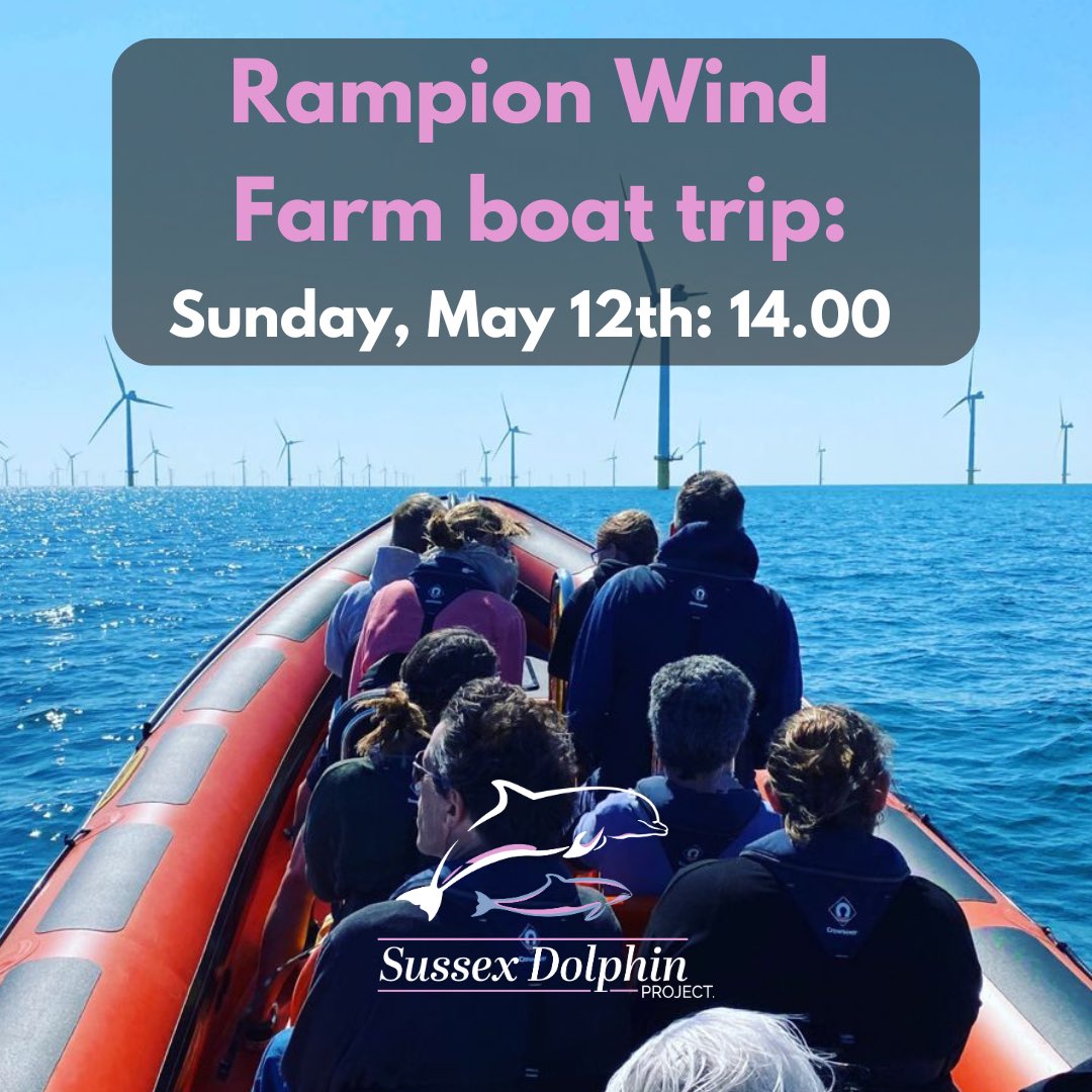 Rampion Wind Farm boat trip leaves #Newhaven at 14.00 this Sunday, May 12th! This is an exhilarating two-hour ride with @SussexBoatTrips and our #SussexDolphinProject wildlife guides to the base of the turbines. Tickets: sussexdolphinproject.org/wind-farm-and-…  #brighton #sussex #boattrip