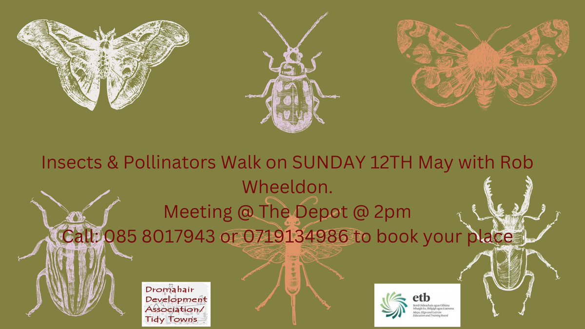 Come along to our interesting walk with Rob Wheeldon on Sunday 12th May.  We are going to investigate all the local insects and their habitats in Dromahair.  Lovely fun afternoon out for all the family.  To book your place contact 0858017943