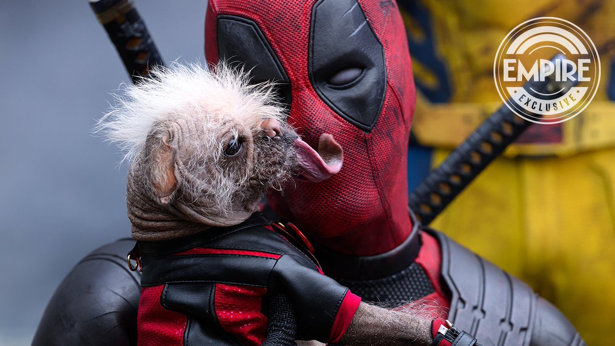 EXCLUSIVE 🐶 #DeadpoolAndWolverine's canine star Dogpool's real name is Peggy, and 'she won the award for Britain’s Ugliest Dog,' says Ryan Reynolds. 'It’s love at first sight,' he tells Empire. READ MORE: empireonline.com/movies/news/de…