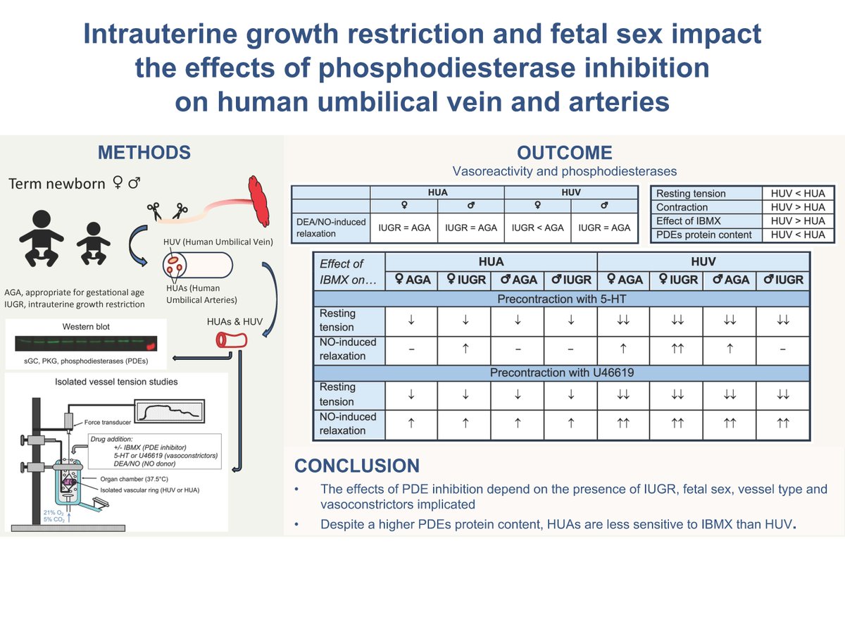 Check out this #ArticlesInPress, Fetal sex and the relative reactivity of human umbilical vein and arteries are key determinants in potential beneficial effects of phosphodiesterase inhibitors Anne-Christine Peyter, et al. ow.ly/aOYB50Rv1Cb #JAPPL