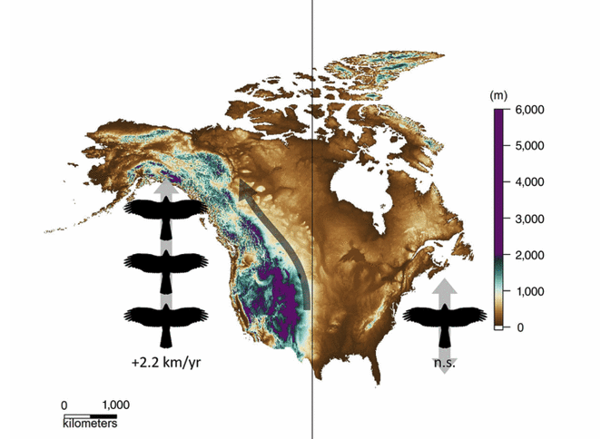 The continental divide in range-shifting birds of North America | pnas.org/doi/abs/10.107… | PNAS @PNASNews | #ornithology