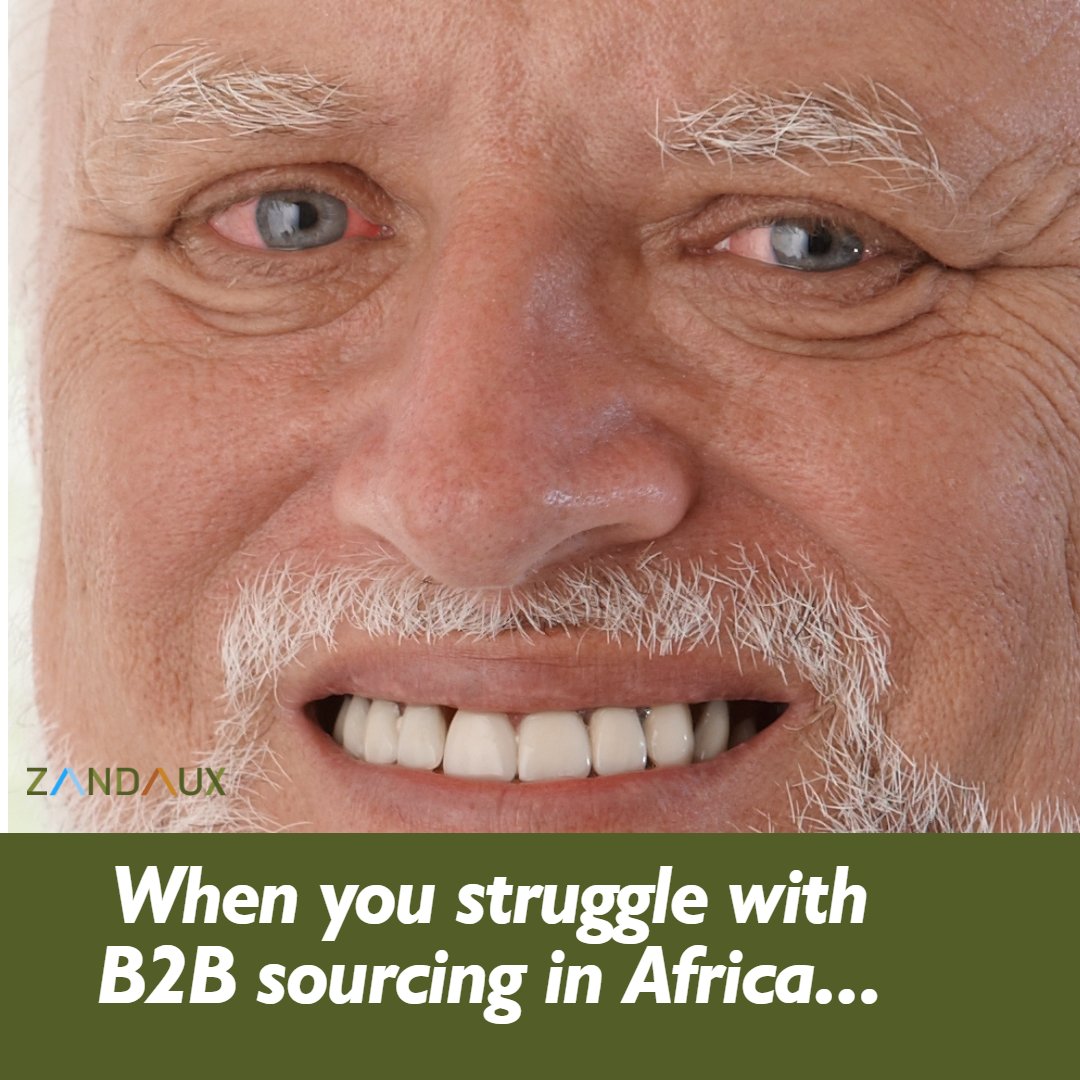Explore African markets with Zandaux for B2B sourcing. Connect for quality products and reliable trade. Level up your business with us! Visit our website for opportunities. zandaux.com #B2BSourcing #AfricanMarkets #Zandaux