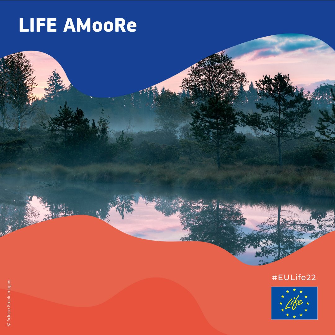 Austria's peatlands🇦🇹 are home to habitats & species of high conservation value🐦 Our #EULife22 LIFE AMooRe will create a strategy and network of experts to restore and protect peatlands & their #EUBiodiversity. 👀Meet this new #LIFEProject here: europa.eu/!jY3GQ9