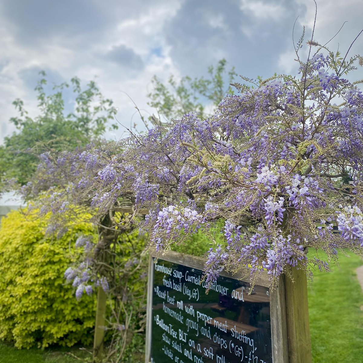 Experience farm-fresh delights at Balloon Tree Farmshop & Cafe! 🎈 Indulge in locally sourced produce, homemade treats, and celebrate the best of Yorkshire, from field to fork 🍓☕️ #BalloonTree #YorkshireEats For more info, see below: theballoontree.co.uk/visit/