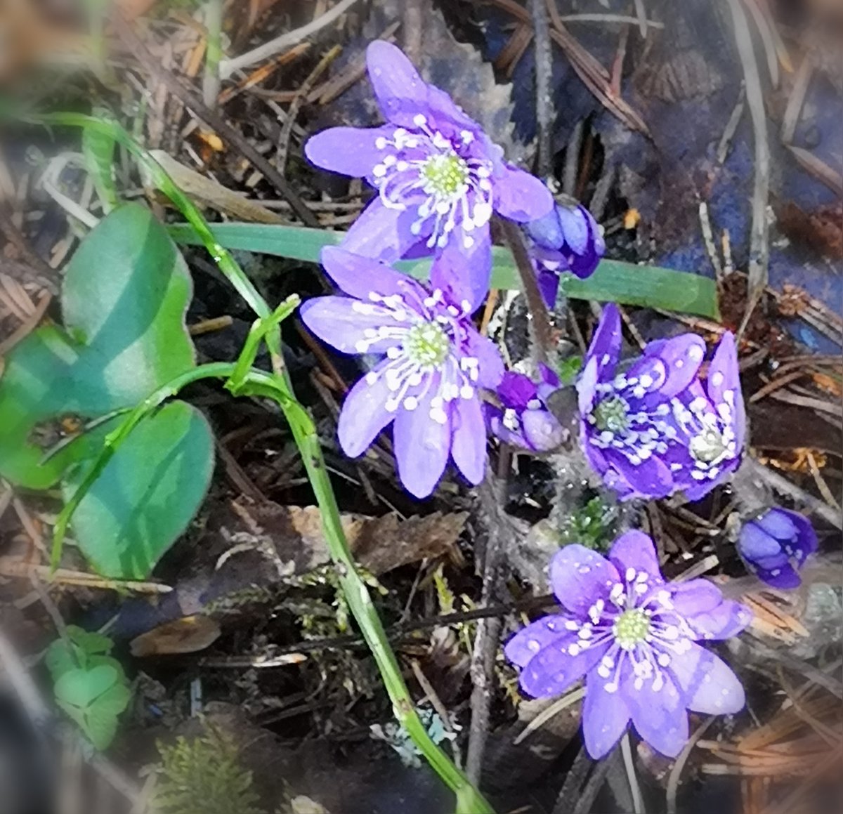 Emil Aaltosen Säätiö (@easaatio) on Twitter photo Onnea apurahansaaja ❣ Emil Aaltosen Säätiö on myöntänyt henkilökohtaisia apurahoja tieteelliseen tutkimustyöhön yhteensä 4.471.970 euroa. Myönteisen apurahapäätöksen sai 223 eri tieteenalojen tutkijaa emilaaltonen.fi/jaetut-apuraha… #säätiötekoja #easaatiorakkaudestatieteeseen Onnea apurahansaaja ❣ Emil Aaltosen Säätiö on myöntänyt henkilökohtaisia apurahoja tieteelliseen tutkimustyöhön yhteensä 4.471.970 euroa. Myönteisen apurahapäätöksen sai 223 eri tieteenalojen tutkijaa emilaaltonen.fi/jaetut-apuraha… #säätiötekoja #easaatiorakkaudestatieteeseen