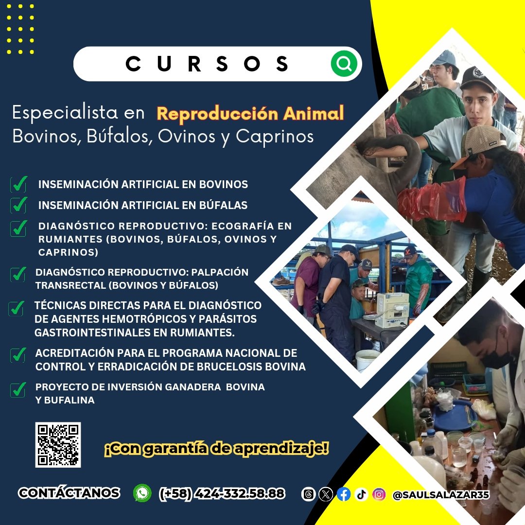 #serviciosveterinarios #cursos