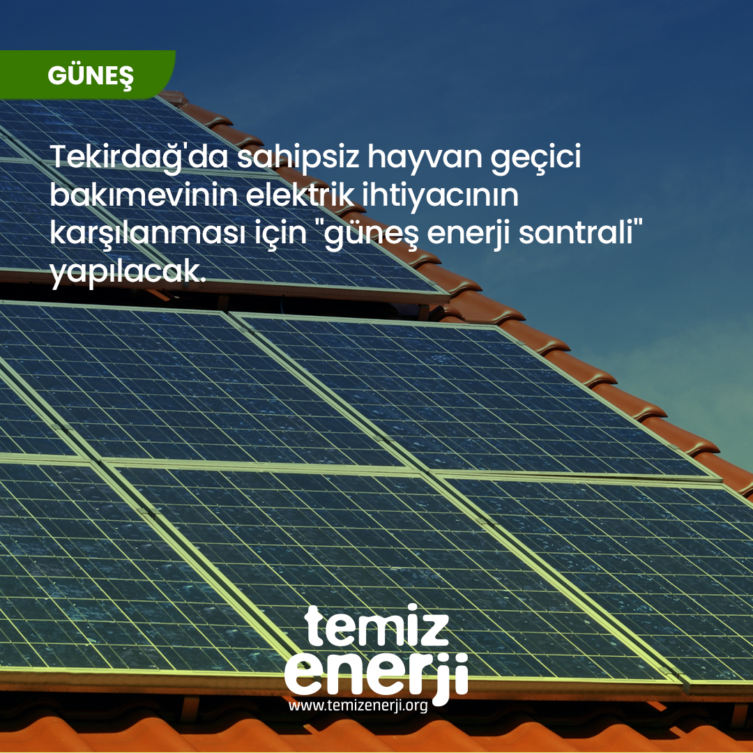 Tekirdağ’da hayvan bakımevinin enerji ihtiyacı güneşten karşılanacak

Haberin tamamını okumak için bağlantıya tıklayabilirsiniz.
temizenerji.org/2024/05/07/tek…

#temizenerji #yenilenebilirenerji #sürdürülebilirlik #yeşilenerji #enerjiverimliliği #enerjidepolama #enerjidönüşümü