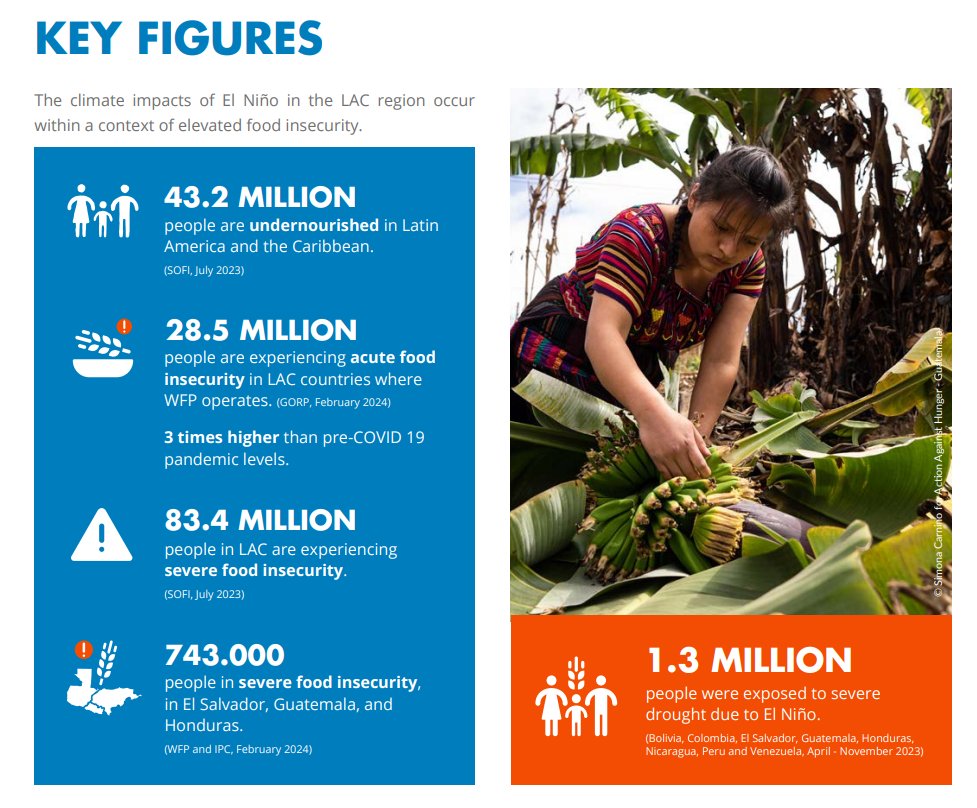 𝗥𝗲𝗽𝗼𝗿𝘁 𝗮𝗹𝗲𝗿𝘁 | The impacts of 𝗘𝗹 𝗡𝗶𝗻̃𝗼 in Latin America and the Caribbean highlights: 🟠WFP's anticipatory actions 🟠Activities to mitigate the effect of climate shocks in the region. 🟠A Call to Action Well worth reading➡️bit.ly/3UyW9eu