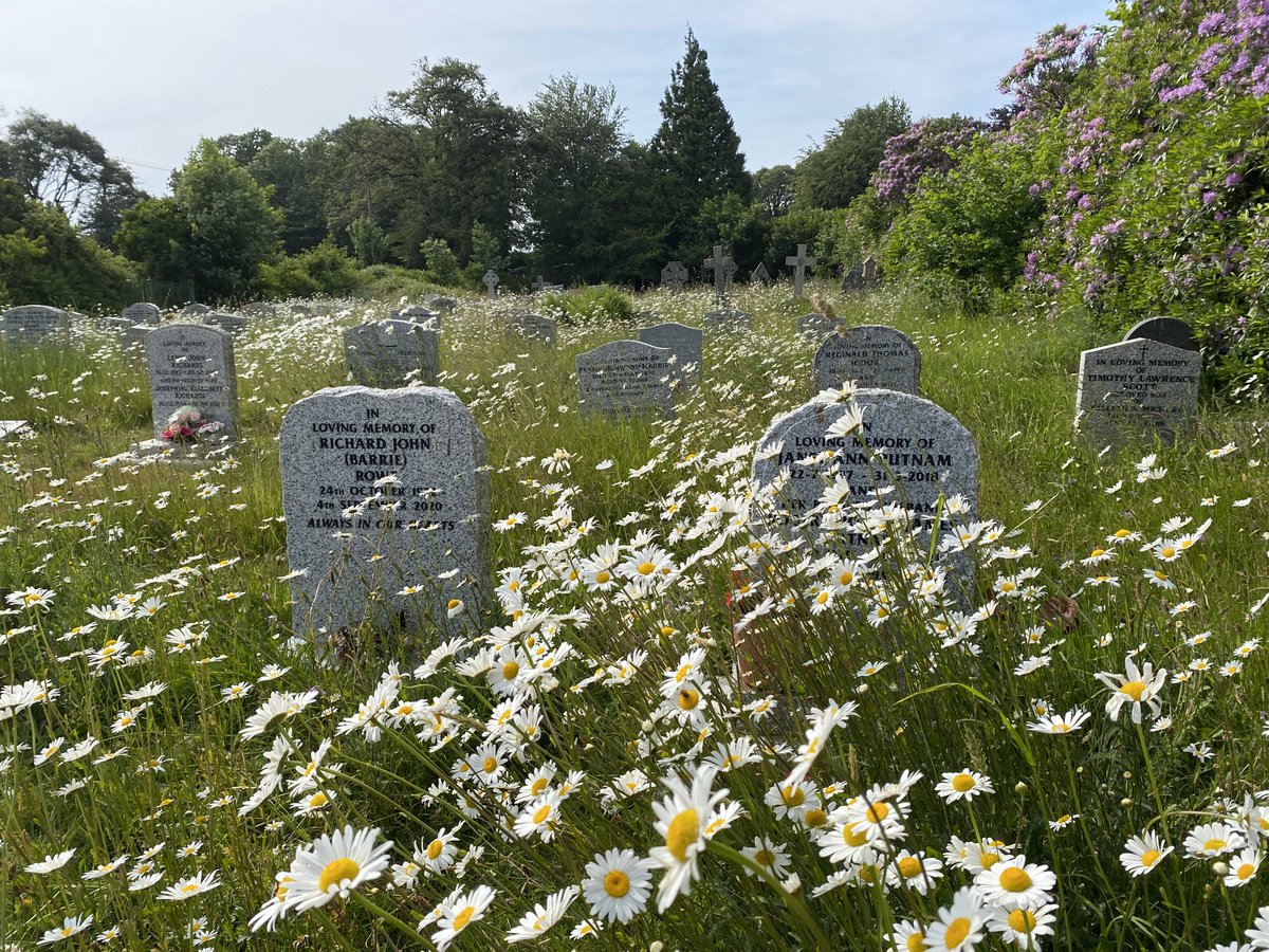 St Mary’s Church in Bradoc and St Protus and St Hyacinth’s Church in Blisland are the first two churches in the Diocese of Truro to receive Eco Church gold awards. They join less than 50 nationwide to achieve the award @ARochaUK #ecochurch #proud