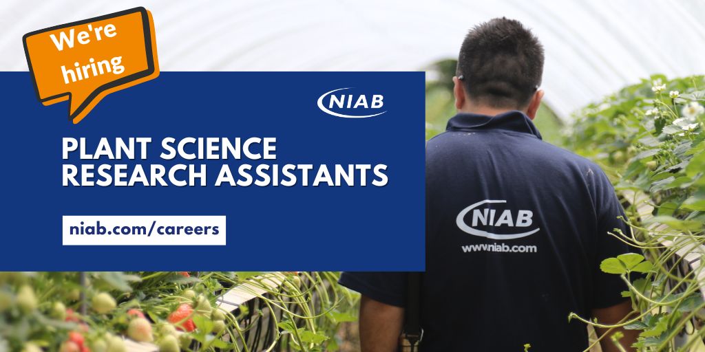#Vacancy Join #NIAB's team at East Malling, Kent as one of two Plant Science Research Assistants. You'll focus on developing new growing practices and systems that utilise resources more efficiently and improving productivity. Full info and apply ➡️ ow.ly/nTkI50Ryk69