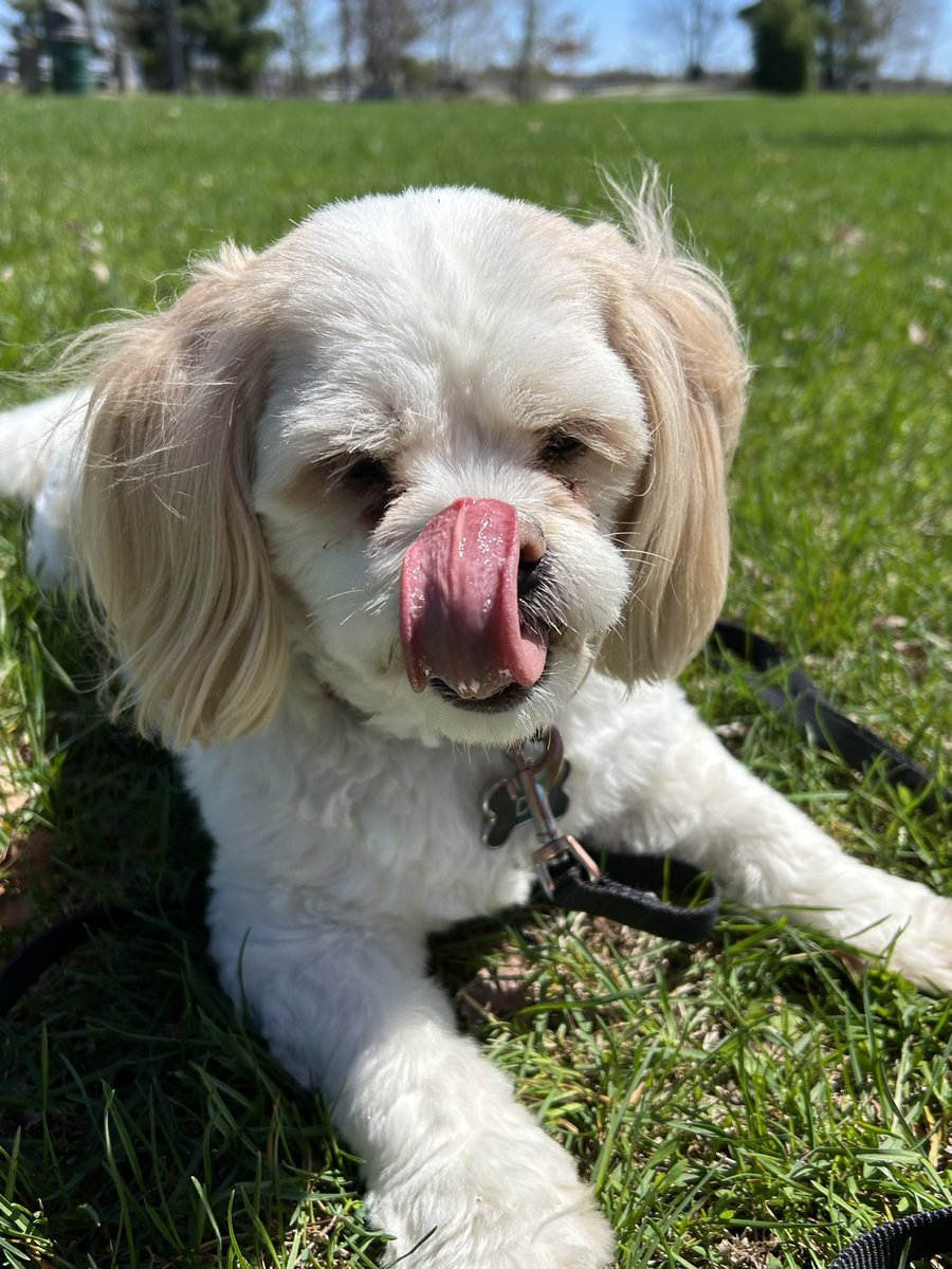 ☀️ Happy Tuesday friends! 😜😎❤️
#TongueOutTuesday