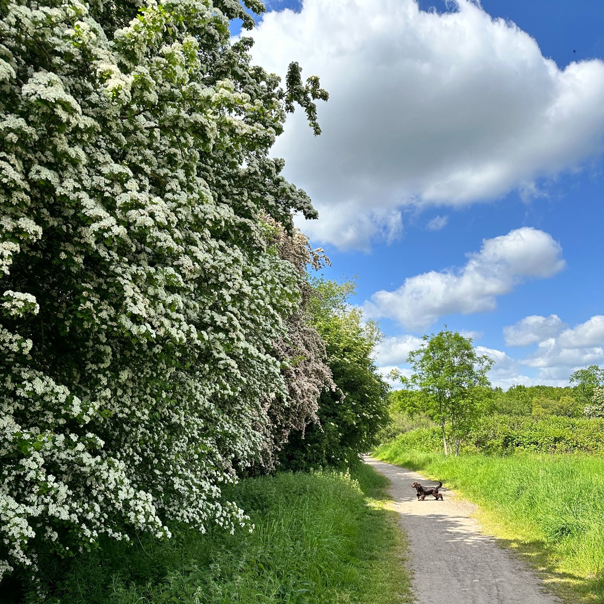 This week is Mental Health Awareness Week and the theme is moving more for our mental health. 🚶‍♂️Why not download the free @gojauntly app and check out a range of Travel Well walks across Nottingham. walks.gojauntly.com/collections/tr…