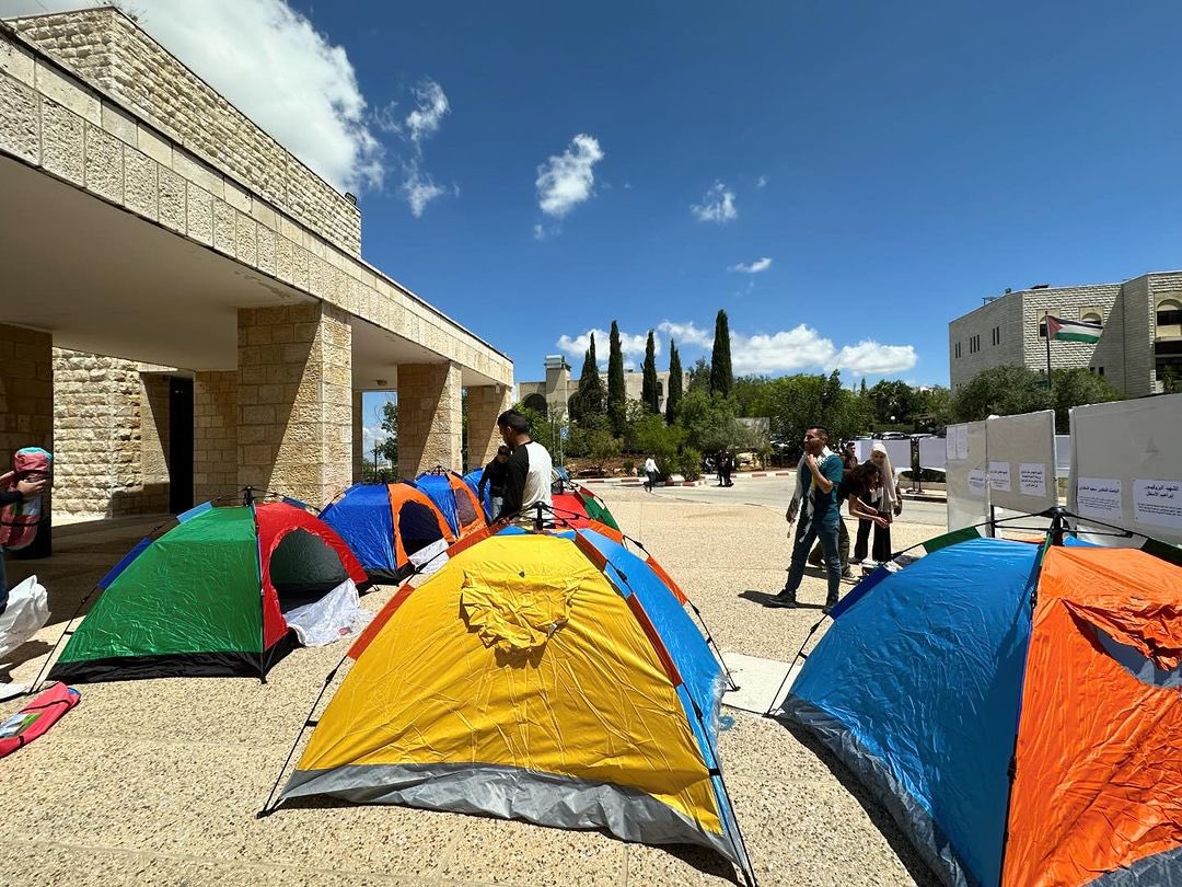 National Students for Justice in Palestine tweet media