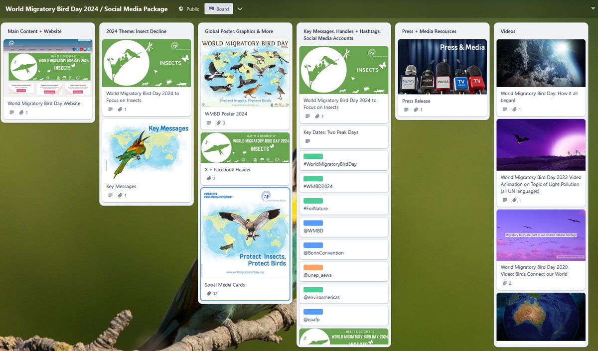 #WorldMigratoryBirdDay is coming up on #11May!🦩🦅🐧 Here is the #WMBD2024 global Trello board with lots of materials you can use to help promote the day! ➡️trello.com/b/epwNhbGf/wor… #ProtectInsectsProtectBirds
