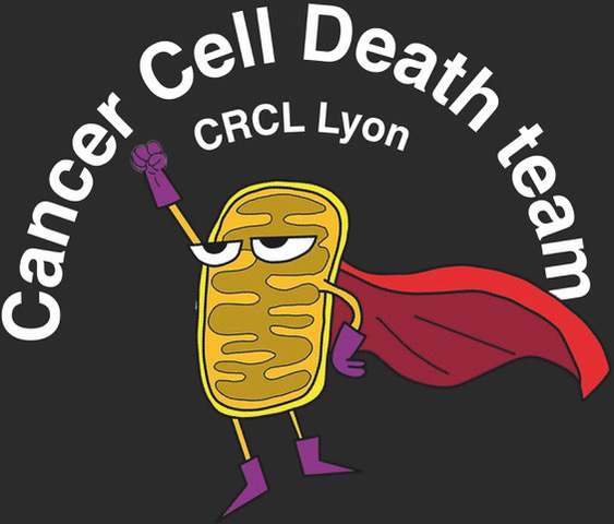 Meet Gabriel Ichim, member of the @EMBO Scientific Exchange Grant Advisory Board, whose Cancer Cell Death lab @GabrielIchim at CRCL in Lyon @CRLC focuses on deciphering the interplay between regulated cell death and oncogenesis. crcl.fr/en/cancer-init…