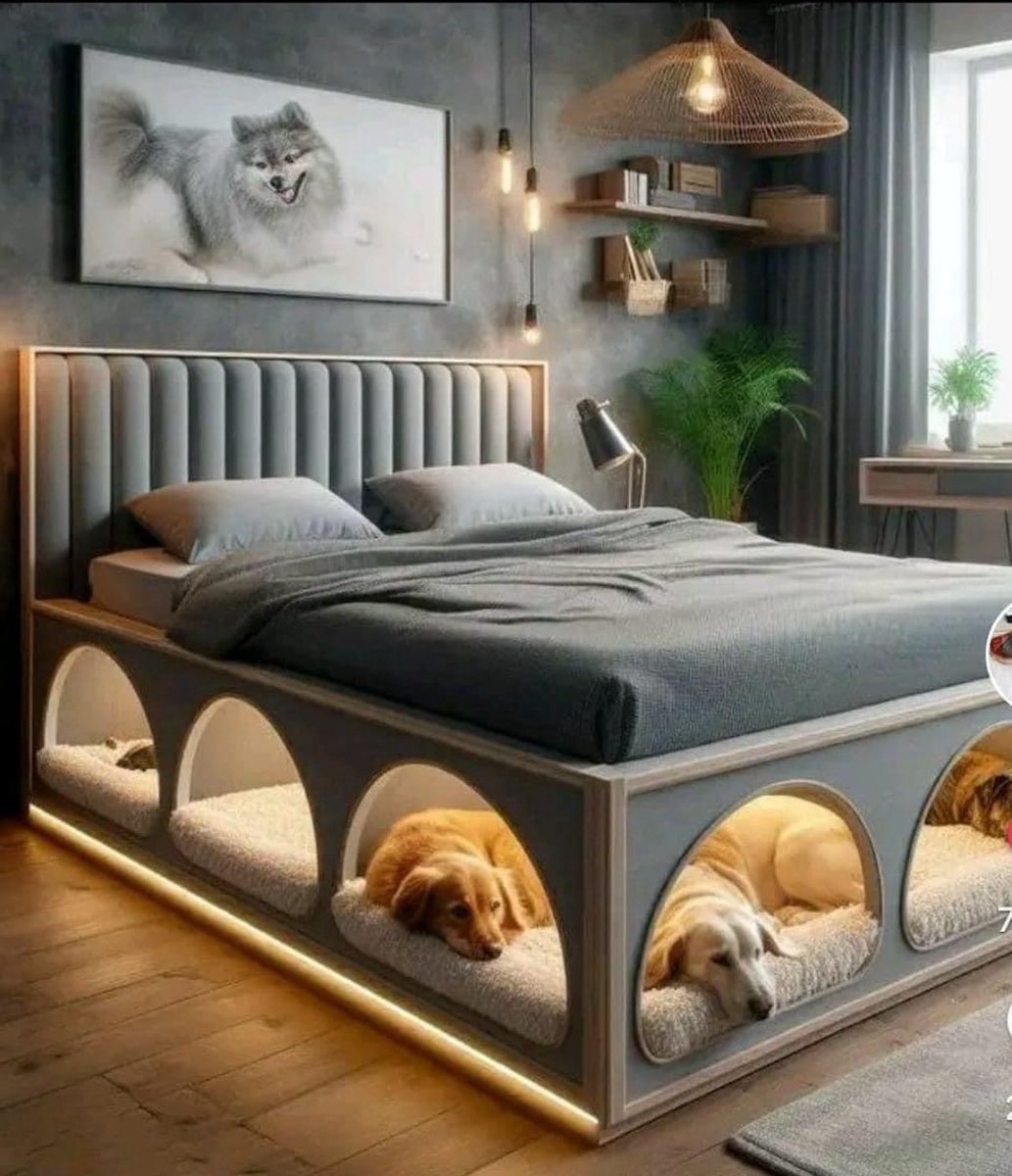 La cama perfecta no exist……👇🥰