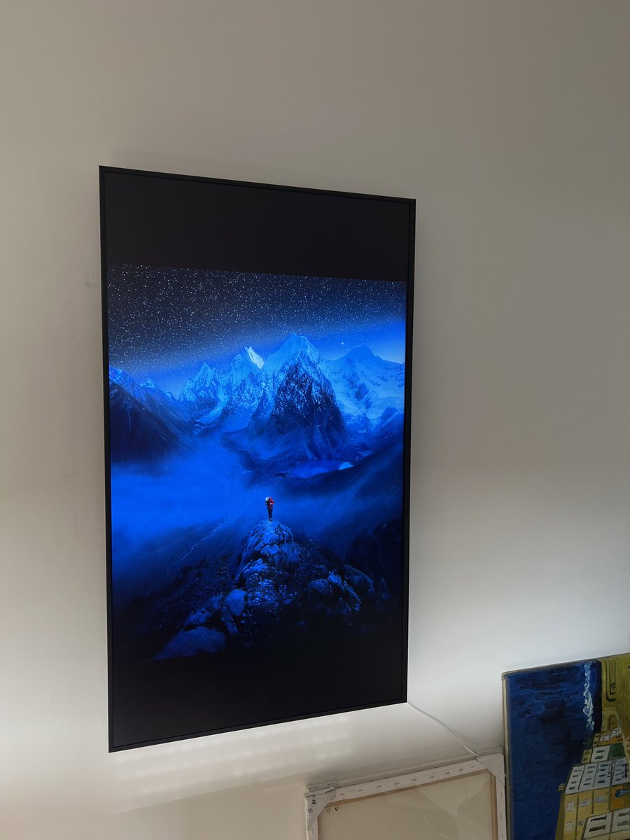 TapirOne tweet media