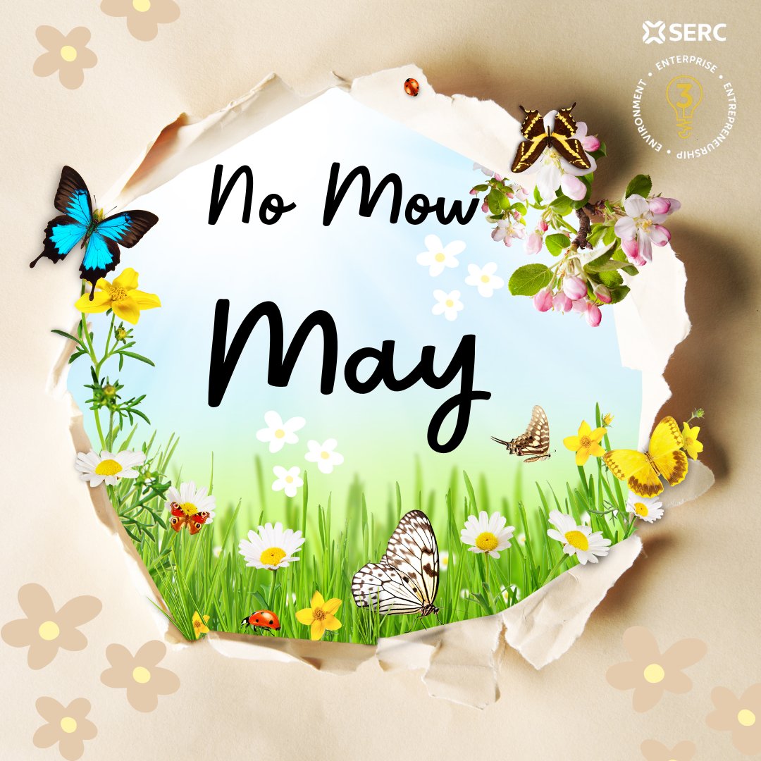 SERC Enterprise, Entrepreneurship, Environment tweet media