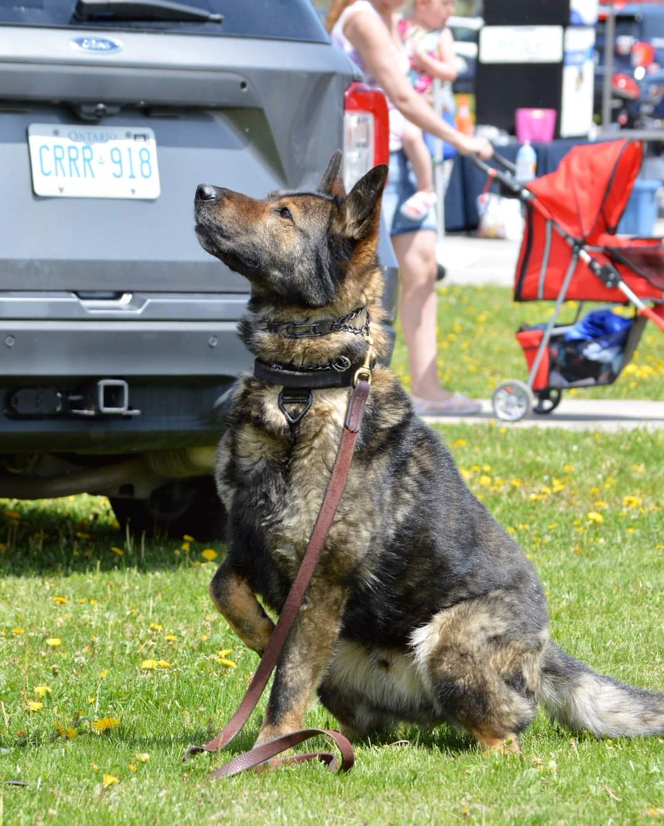 Good morning, @townofbwg and @townofinnisfil! REMINDER our #PoliceWeek2024 Open House is on Saturday and you're invited! Displays will include our Cars, Sea-Doos, Drone and more! Enjoy another outstanding weather day ☀️ and be safe out there. #TuesdayMotivation #OpenHouse #Fun