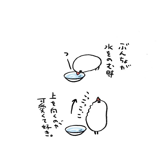 ぶんちょの水飲み 