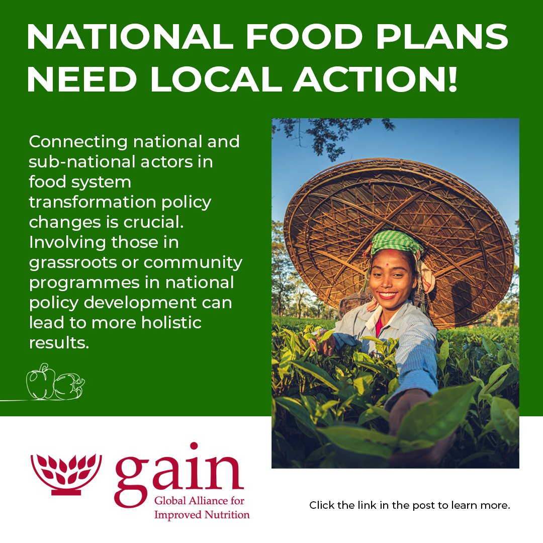 As countries develop the National Pathways for food systems transformation, an emerging need is to ensure policies land at different levels. GAIN's new paper sets out why this is an important issue, along with examples from our work in Kenya & Indonesia. 🔗bit.ly/3UO7HvJ