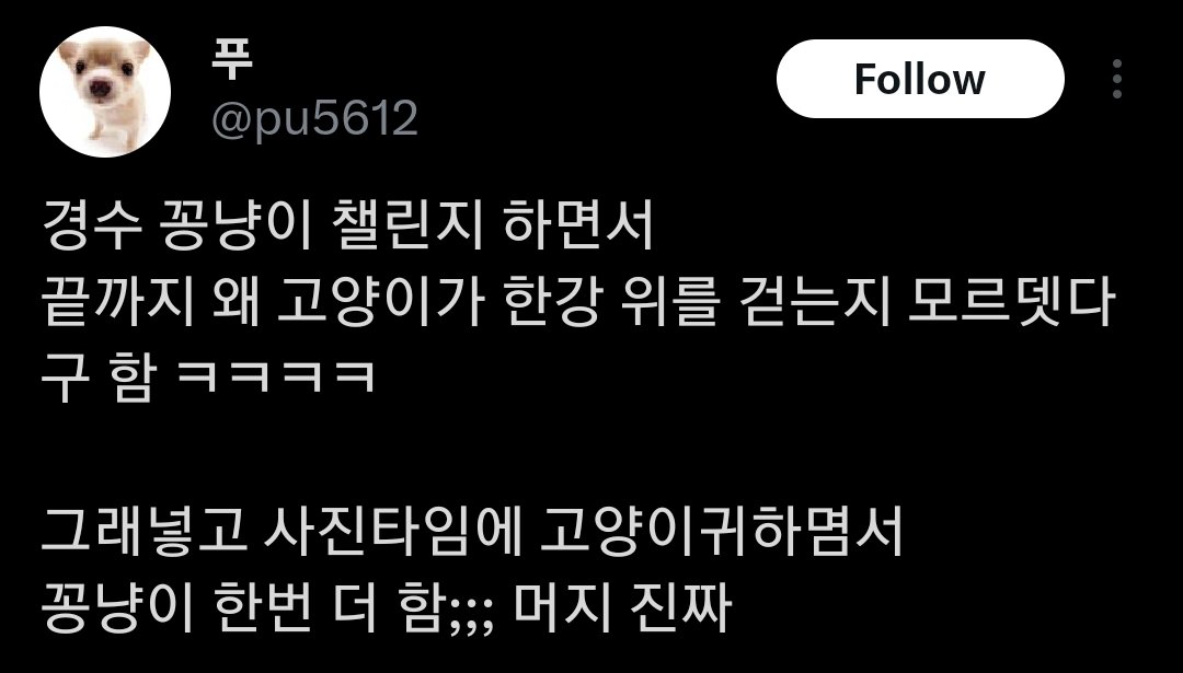 When Kyungsoo did the kongkong goyangi challenge, he keep asking 'why the cat even walking on the top of han river?' until the end😭😭😭😭

bub😭😭😭