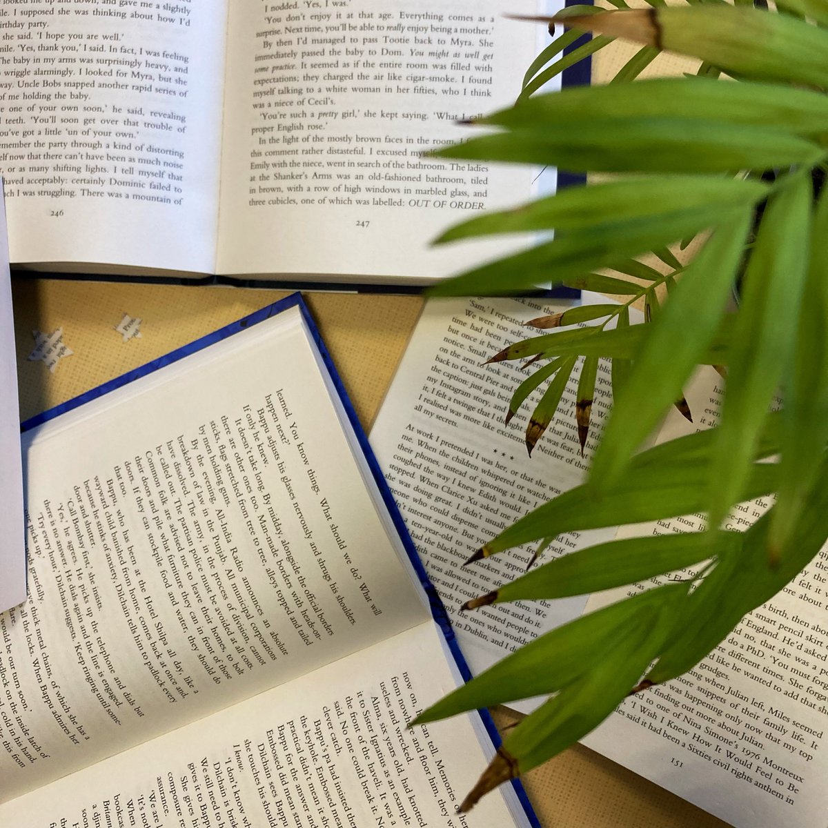 Have a read about the seven books we enjoyed in April! - thewilloughbybookclub.co.uk/blogs/news/wha…

Have you read any of the books? Or has one of them caught your eye?

#willoughbybooks #books #staffreads #bookreviews #reading #booksubscription #bookish #leicester