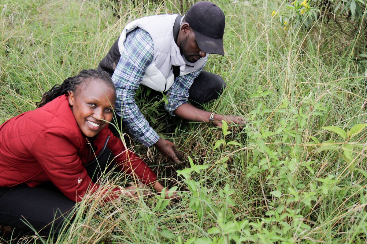 During the @KIPPRAKENYA annual team building exercise, the staff also undertook a tree planting exercise at the Naivasha Game Farm. They planted 2000 indigenous trees as part of its CSR and in compliance with the presidential directive of planting 15 billion trees by 2032.