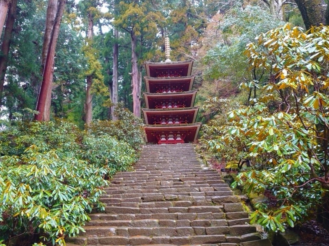 国内最小の五重塔
「室生寺」奈良

#旅行好きな人と繋がりたい
#旅　#神社仏閣　#五重塔