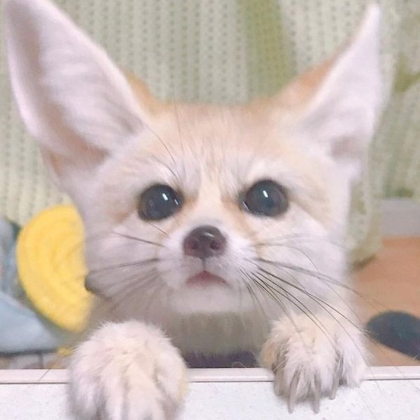 얌 (@lovxxin) on Twitter photo 