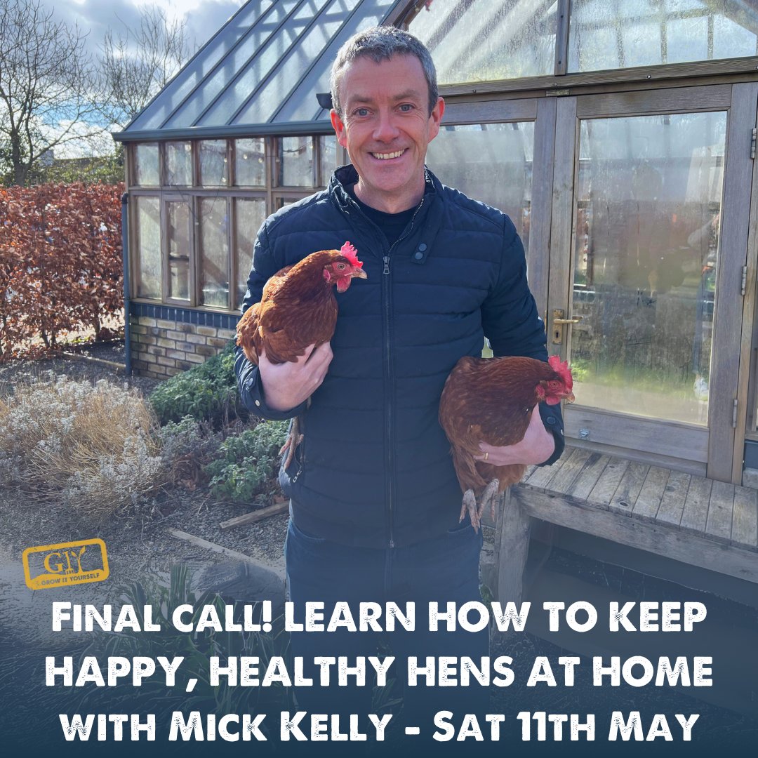 📣 FINAL CALL 📣 To join Saturday’s 'Keeping Happy Hens At Home’ course with Mick Kelly at GROW HQ. If you’ve always wanted your own fresh organic eggs, but don’t know where to start - this is your chance! Book your spot on GIY.ie 🐓🥚 #GIY