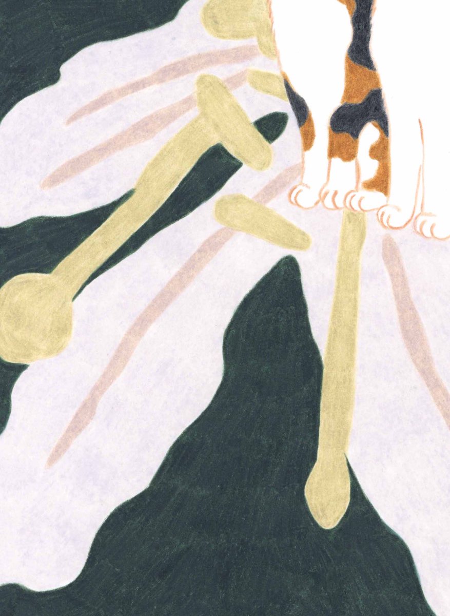 Art For Animalsâ¢
2çš®é¡ç®ã¯ç«ã¡ããã«ããŸããð
ãã®ã·ãªãŒãºã¯å
šãŠé¡è£
ããŠãéãããŸãð
5/18(å)ãã販売éå§ããŸãâïž
ãªã³ã©ã€ã³ã¹ãã¢ã§ã¯é¡è£
ã®ã€ã¡ãŒãžãèŒããŠããŸã!
https://t.co/XLPVk6Syzs