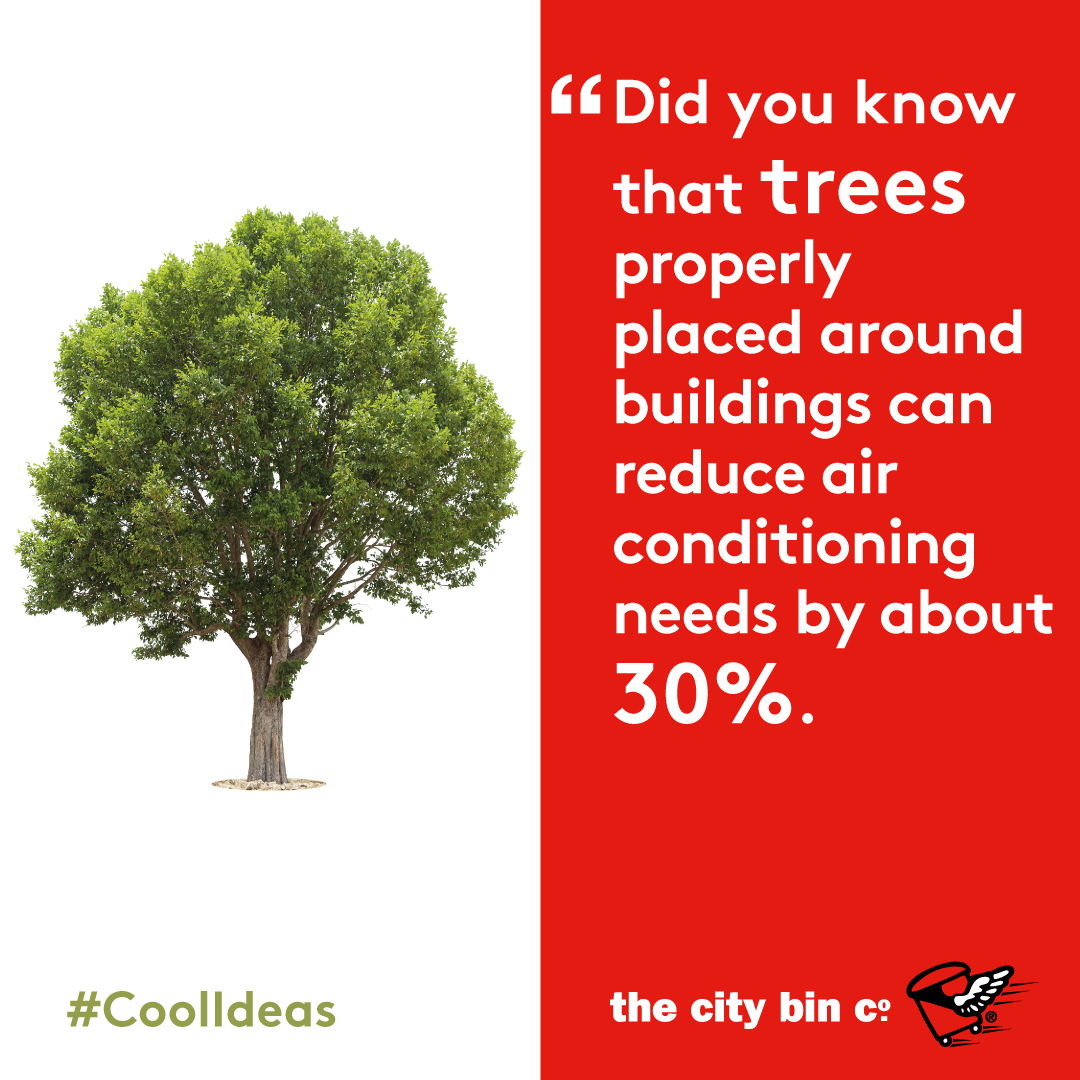 Did you know?! It's a lot cheaper than electricity! #sustainabilityplanning #thecitybinco