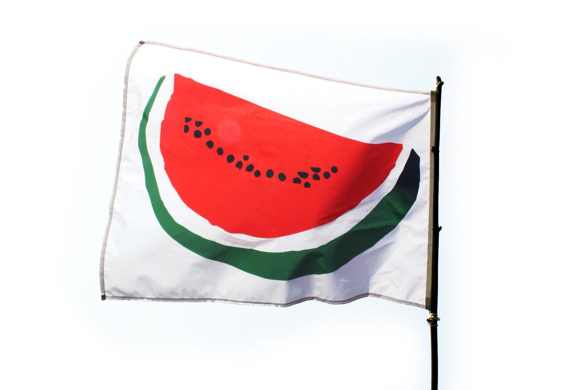 Palestine’s new flag