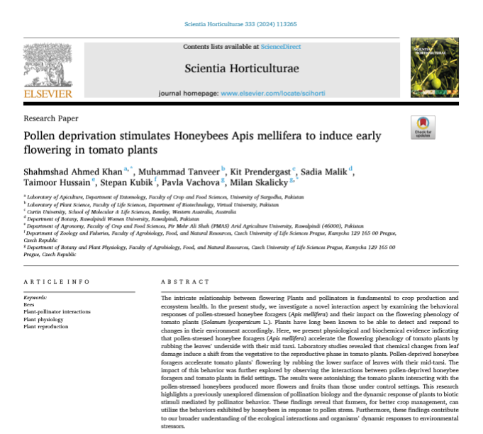 #hotoffthepress - new publication just out, another fantastic international collab 'Pollen deprivation stimulates Honeybees Apis mellifera to induce early flowering in tomato plants' just published in Scientia Horticulturae 
#honeybees #tomatos #physiology #behaviour #bees