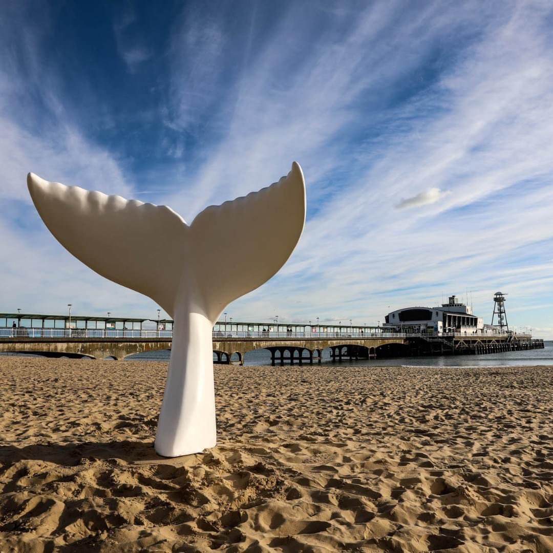 Calling all artists! 🧜‍♀️

Design submissions are now open for the Great Tail Trail, a sculpture art trail coming to Bournemouth, Christchurch and Poole in spring 2025.

Download the artist pack and submit your design by midnight on 1 July. juliashouse.org/tail-trail/mee…

#wildinart